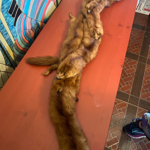 Vintage 5 mink pelt scarf stole - Picture 6 of 8